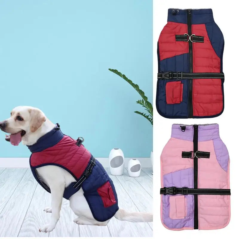 Winter Snow Jacket